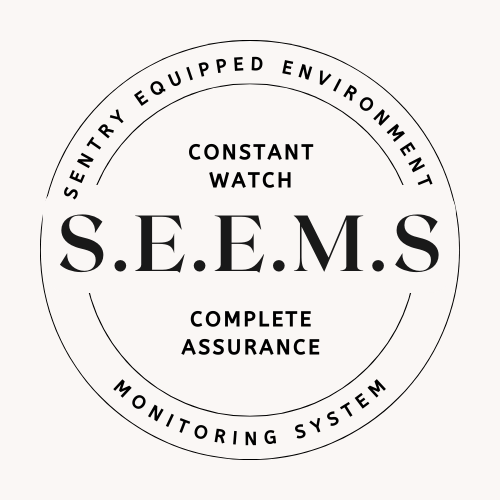 SEEMS Logo
